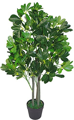 Leaf Planta Artificial Arboricola Evergreen, Verde Oscuro