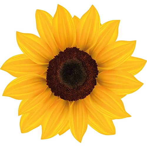 Kleberio Aufkleber Sonnenblume gelb Sticker Autoaufkleber wasserfest Blumen Mülltonne Blumenwiese lustiger Autoaufkleber Dekoration Wohnmobil Fensterbild 19 x 20 cm