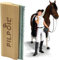 2024 - Brosse Étrille Chevaux/Poney Anti Mue | Equipement Équitation Et Entretien du Pelage du Cheval | Grooming Tools Deshedding | Retire 95% du sous-Poil Morts. Qualité Pro Bois Naturel | 14,5 Cm