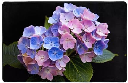 YYHWHJDE Schöner Hortensien-Teppich, 152,4 x 99,1 cm, weich, feiner Samt, waschbar, verschleißfest, keine Fusseln