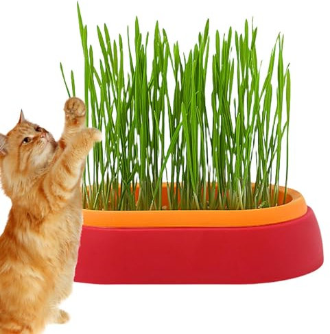 Cat Grass Container - Hydroponic Cat Grass Tray,Cat Planter for Indoor or Outdoor Cats, Dogs, and Other Pets, Cat Grass Box for Indoor Outdoor Plants, Pet Accessory