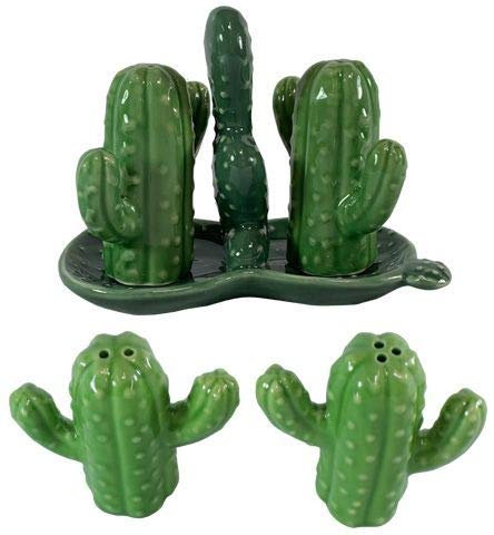 Cactus Succulent Desert Salt and Pepper Spice Shaker Set with Decorative Holder
