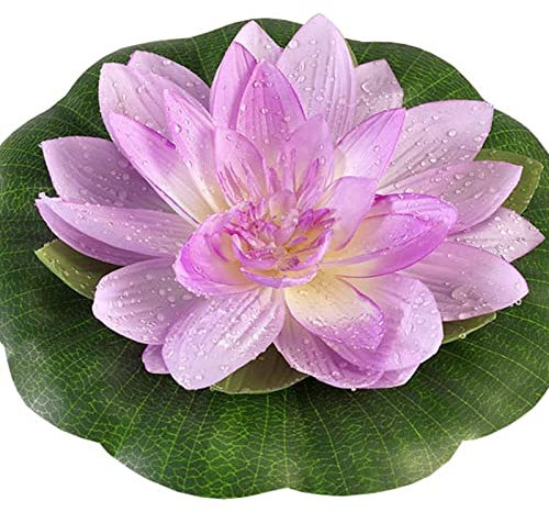 Winterhart Pflanzen, Magic of Nature, Sie Reinigen Das Wasser, Unglaublich AnpassungsfäHig. Seerosenpflanze, Trockenheitstolerant Und Einfach Anzubauen,-60pcs-e