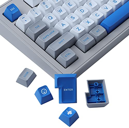 JakeTsai Double Shot Keycaps, 173 Keys SA Profile Keycap Set with 2.75u, 3u, 6.25u and 7u Spacekey for Cherry Mx Switches ISO ANSI Layout Mechanical Keyboard