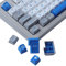 JakeTsai Double Shot Keycaps, 173 Keys SA Profile Keycap Set with 2.75u, 3u, 6.25u and 7u Spacekey for Cherry Mx Switches ISO ANSI Layout Mechanical Keyboard