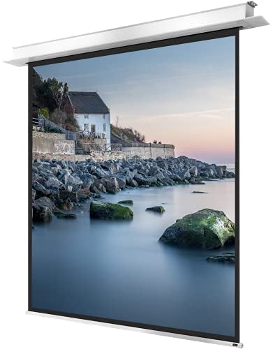 celexon Professional Plus Deckeneinbau-Motor-Leinwand 120 | 220x220 cm 1:1 | elektrische 4K, Full-HD Einbauinstallation mit Wandschalter, für Ihre Beamer-Projektionen | zur Montage in der Raumdecke