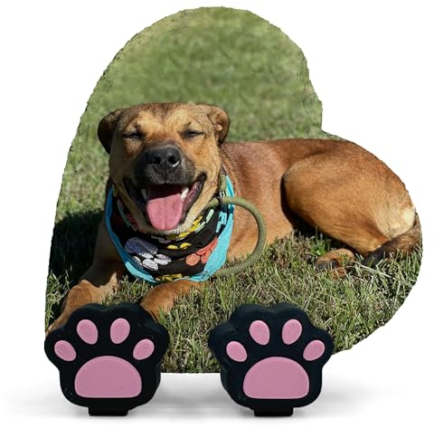 Personalisierte Memorial Herzform Foto Namenstafel für Haustier Katze Hund Schiefer Naturstein Rahmen Pfote Grab Marker mit Pfote Display Ständer - Full Print - V2 Größe | 10 x 10 cm |