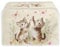 Xoenoiee Cat Butterfly Floral Print 2 Slice Toaster Cover Woman Kitchen Accessories Kitchen Small Appliance Dust Proof Cover Bread Maker Toaster Cover, Size S