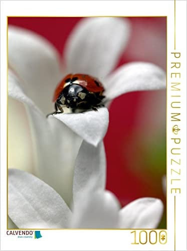 CALVENDO Puzzle Im weißen Kleid | 1000 Teile Lege-Größe 48 x 64 cm Foto-Puzzle für glückliche Stunden