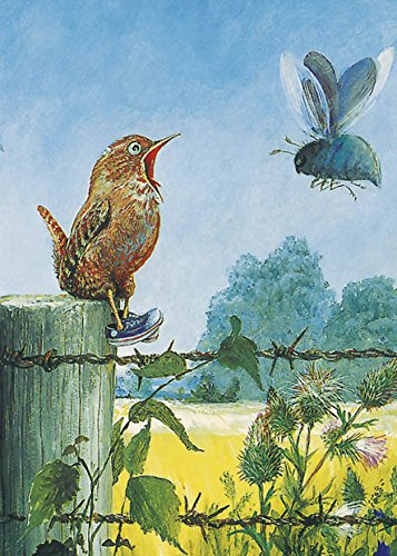 Inkognito Postkarte A6 • 4717 ''Zaunkönig Künstler: Rudi Hurzlmeier • Fantastik