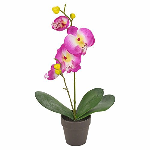 URNB Living Piccola pianta artificiale viola orchidea bouquet