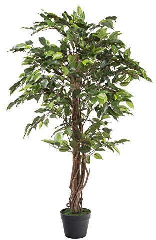 Closer2Nature 3ft Artificial Plant Green Weeping Fig Plant; Fake Artificial Weeping Tree, Indoor Fig Tree with Twisted Stem - Perfect for Home, Kitchen, Lounge and Office