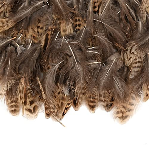 200 Stück Natürliche Federn Wilde Federn Dekoration DIY Basteln Federn Braun Federn Natürliche Hühnerfedern 5-10cm Kleine Fasanenfedern Weich Natürliche Fasanenfedern für Traumfänger Cosplay Deko (A)