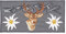 Alpen Berge Grau Hirsch Edelweiß Aufnäher zum aufbügeln Bügelbild Applikation Aufbügler für Kleidung gestickter Bügelflicken Blume Tracht Bayern Patch Größe 13 x 6,5 cm