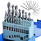 19PCS HSS Drill Bit Set,Ø1.0 to 10mm Brad-point Bits Set with Foldable Storage Case,Carpentry Tools and Equipment Accessories for Wood Aluminum Copper