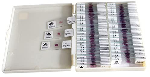 HE Stain Human Cell Microscope Slides - 100 Pcs Histopathology Slides for Lab Biology Study, Clear Imaging, Uniform Dyeing, High Transparency - Ideal for Science Education