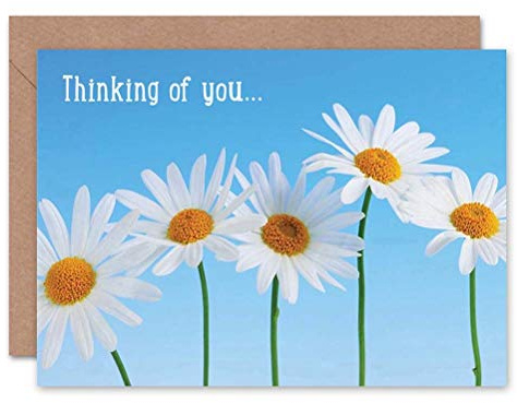 Wee Blue Coo THINKING OF YOU DAISY FLOWER NATURE PHOTOGRAPH BLANK GREETINGS CARD