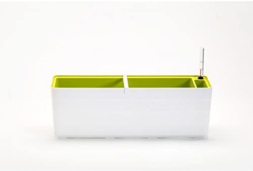 Digebis BERBERIS 60 AUTHORIEGO Planter - Dimensions 59 x 19.5 x 19.7 cm White/Green Brand