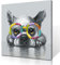 B BLINGBLING Leinwandbild, Motiv: Französische Bulldogge mit bunter Sonnenbrille, lustiges Kunstwerk, Tierposter für Kinderzimmer, Schlafzimmer, gerahmt, 60 x 60 cm x 1 Paneel