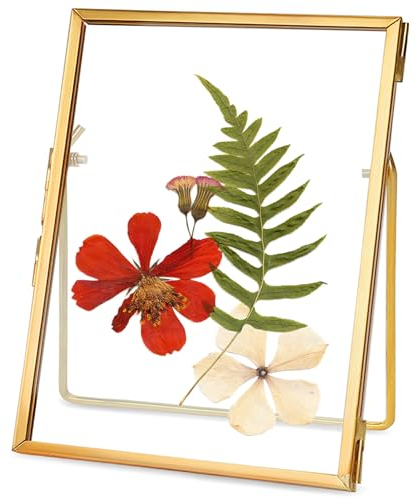 REDHUGO Gepresste Blumenrahmen, Glas-Schwebeframe zur Anzeige von getrockneten Pflanzenspezimenbildern, Hängender Messingbilderrahmen mit Kette, Doppeltes klares Glas, Vintage-Wanddekoration, Rechteck