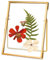 REDHUGO Gepresste Blumenrahmen, Glas-Schwebeframe zur Anzeige von getrockneten Pflanzenspezimenbildern, Hängender Messingbilderrahmen mit Kette, Doppeltes klares Glas, Vintage-Wanddekoration, Rechteck
