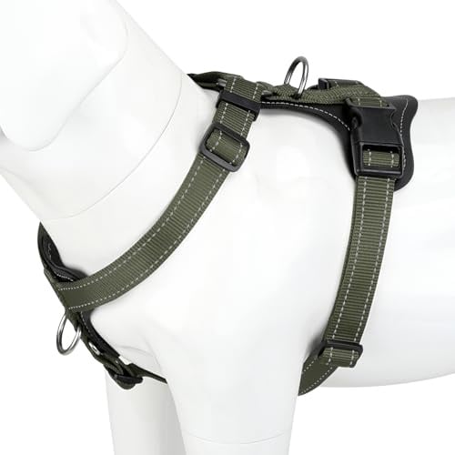 Plutus Pet No Pull Dog Harness with Leather Accents, Adjustable Reflective | Heavy Duty Nylon Pet Vest, for Training and Hiking, Front Clip, Easy Walk for Small Medium Large Dogs, Ranger Green, XL
