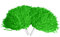 VGEBY Cheerleading Cheerleading Poms Cheerleading Poms Girl Sport Party Tanz Zubehör Hand Blumen Pompons Cheers -7 Farben zur Auswahl (Farbe : Grün)