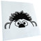 Kiwistar - Autoaufkleber - Schwarz - 19x10cm Halber Ernie - Heckscheibe Auto Aufkleber wetterfest für Kfz LKW Mofa Truck - Sticker außen selbstklebend Tuning Zubehör für Fenster Fahrzeug Scheibe