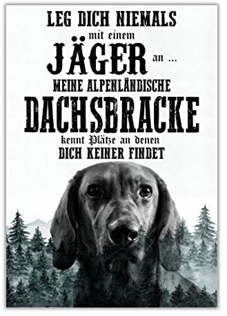 Schild ALPENLÄNDISCHE DACHSBRACKE Dog Hund Spruch Türschild Hundeschild Jagd Jagdhund