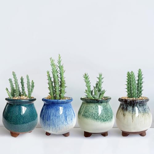 Mini maceta para suculentas con drenaje, macetas pequeñas para cactus para bebé, decoración de estante de escritorio, bonito juego de 4 macetas de cerámica esmaltada para suculentas, macetas de