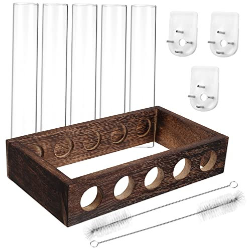 PHENOFICE Ensemble De 5 Tubes à Essai pour Plantes Support De Propagation Support Mural d 39 Intérieur à Plusieurs Niveaux pour Fleurs Décoration d 39 Intérieur