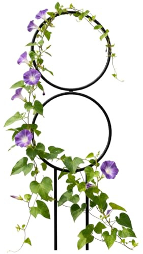 Générique Rankgitter für im | Metallstab verstellbar und dekorativ | Gartenständer für Lianen Innen Außen Hochzeit Gemüsegarten Orchidee Clematis geführt und elegant