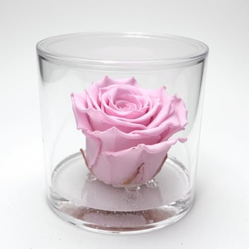 Box tondo con rosa rosa stabilizzata Profumata, Box con Rosa rosa stabilizzata Eterna | Idea Regalo Natale, Mamma, Nonna, Amica, Bomboniera per lei | Fatto in Italia (Rosa 1045)
