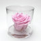 Box tondo con rosa rosa stabilizzata Profumata, Box con Rosa rosa stabilizzata Eterna | Idea Regalo Natale, Mamma, Nonna, Amica, Bomboniera per lei | Fatto in Italia (Rosa 1045)
