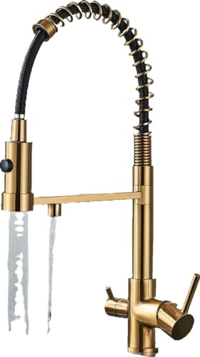 Bernd | 3 Wege Gastronomie Gold gebürstet Filtermatur | Feder Edelstahl Osmose Wasserhahn Küche | Restaurant Mischbatterie 360° drehbar 2 Anschlüsse
