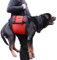 Hundehebegeschirr für große Hunde, Ganzkörper-Hundetragetasche mit Griff, zur Unterstützung der Hinterbeine/Gelenkverletzungen/Arthritis von Hunden (Rot, XXL)