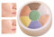 Cream Foundation Palette – correttore per il trucco della crema – per tutto il giorno Wear Contour Palette Make up Concealer, impermeabile