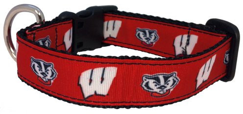 All Star Dogs NCAA Wisconsin Hundehalsband, Badgers Collegiate, Größe M