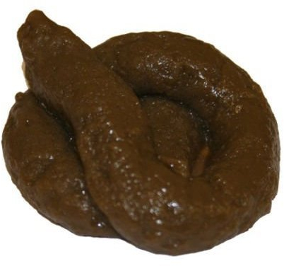 The Little Party Shop Künstlicher Hundekot/Scherzartikel, 2 Stück