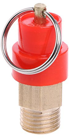 DIIOOMIEEU Compresseur d'air chaud 6,35 mm 10 kg pour soulager la pression