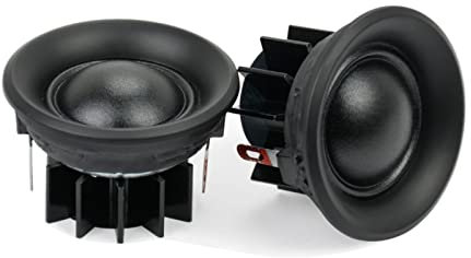 ARSMI 2Pcs 10W 1.5Inch Tweeters Loudspeakers Treble Mini Portable Silk Film Speakers 4 Ohm 6 Ohm 8Ohm 40MM bookshelf audio (Color : 8 Ohm 10W)