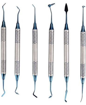 6Pcs Dental Filling Spatula Stainless Steel Spatula Set Professional Dental Composite Resin Filling Spatula Restorative Instrument LAB Tools Dentistry Laboratory Tools Flat Ended Cement Spatula