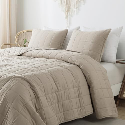 R.SHARE Tagesdecke Herbst und Winter 225×225 cm (mit 2 Kissenbezüg) Kuscheldecke Flauschig Decke, Ultra Weiche Sofaüberwurfdecke für alle Jahreszeiten, Wohndecken Steppdecke aus Mikrofaser-Beige