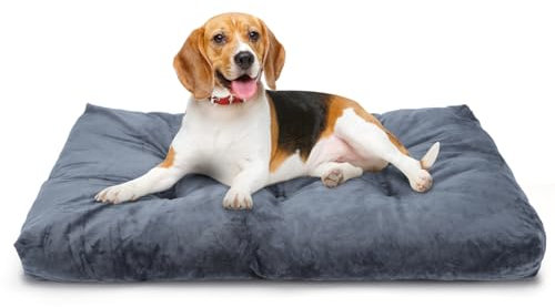 Nobleza Hundekissen Mittelgroße Hunde, Hundebett Waschbar, Hunde Bett Plüsch, Weiche und Flauschig, Hundematte mit rutschfeste Unterseite, Haustierbett Hundematratze Dunkelgrau, 80x50cm