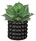 Hollyone Piante grasse finte in vaso nero a bolle, 21,8 cm, agave artificiale smerigliata, piante finte per interni, decorazione per casa, scrivania, davanzale, bagno, decorazioni per mensole