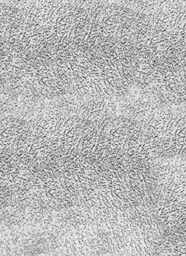 Alberts 468354 Strukturblech | Rauputz-Prägung | Aluminium, natur | 200 x 1000 x 1 mm