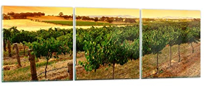 Wandbilder Dekoration Wohnzimmer Landschaft Weinberg Sonnenuntergang Mehrteilige Bilder auf Glas 150x50cm Glasbild Schlafzimmer Küche Set 3 teilige Wand Art Groß XXL Wanddeko Modern GCA150x50-0116