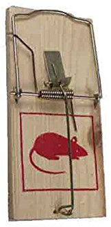 Jumbo Holzscheite, 1 Stück, 17,5 x 8 cm
