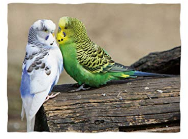 fotobar!style Fleecedecke ca. 180 x 135 cm Wellensittiche