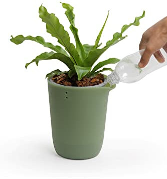 QUALY Oasis Square QL10307-GN-GY - Vaso rotondo con sistema di auto-irrigazione, colore: verde, S